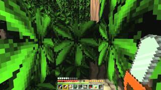 Lets Play Minecraft 100ICBCRPCC Part 031 quotPlatz schaffen bzw Bude ausmistenquot GERMAN HD [upl. by Asim279]