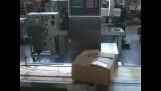 RAMSEY ICORE Autocheck 8000 Checkweigher [upl. by Oiril520]