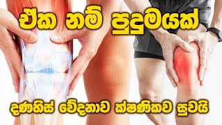 ක්ෂණිකව දණහිස් වේදනාව සුවයි arthritis sinhalaayurveda kneepain [upl. by Dawes]