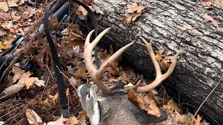 Georgia whitetailed deer Hunt Public land Bonus buck [upl. by Yanahs]