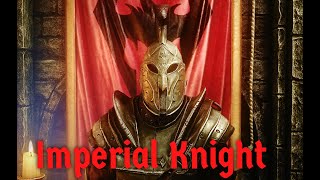 Knight of the Imperial Dragon  Skyrim Character Showcase PCXBOX [upl. by Gillman125]