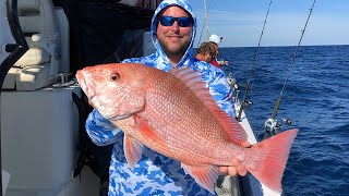 How To Vent amp Descend Red Snapper This Is How We Get More Days Next Year [upl. by Trev]