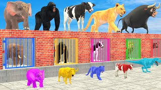 Cow Elephant Lion Gorilla Tiger TRex Choose The Right Mummy ESCAPE ROOM CHALLENGE Animals Cage Game [upl. by Mulcahy]