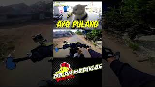 Ditunda miom3kuning denipakel motovlog miom3 [upl. by Evangelina]