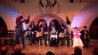 Vuelve el Flamenco de los Cabales II  Presentación [upl. by Namaan]