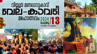 Manalarukavu Vela Kavadi Mahotsavam 2024 കാവടികളുടെ മഹാ സംഗമം മണലാറുകാവ് വേല കാവടി മഹോത്സാവം 2024 [upl. by Ihculo]