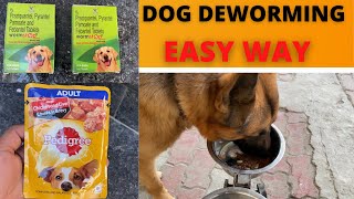 German Shepherd Dog Deworming  Easy Way to Deworm your Puppy at Home [upl. by Edholm]