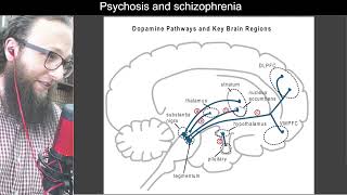 04 05  Five dopamine pathways in the brain  مسارات الدوبامين الخمسة في الدماغ [upl. by Ajram28]