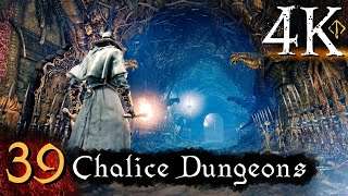 Bloodborne  First Time 4K 100 Platinum Walkthrough Part 39  Chalice Dungeons [upl. by Given]