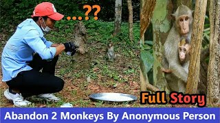 Breaking Heart Anonymous Person Abandoned 2 Pet Monkeys Into Wild Troop And VO Gives Fresh Milk [upl. by Trinl360]