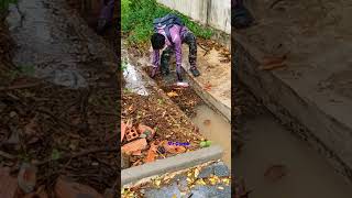 300M clogged drain cleaning much rubbish viral drainage shorts viralvideo shortvideo video [upl. by Erasmo797]