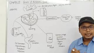 Emetics amp Antiemetics Drugs Physiology of Vomiting Classification  Ch8 Unit1 PharmacologyIII [upl. by Parrnell]