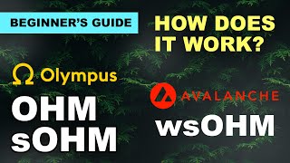 OHM sOHM and wsOHM  What is wsOHM How to Stake OHM [upl. by Brinson990]