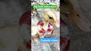 চিকু সাঁতার কাটতে যাবে 🦆😂  mini wood toywood working art skill  hand crafts  shorts comedy [upl. by Anilat623]