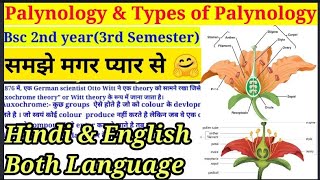 Palynology amp Types of Palynology  Part1 Morphology  परागकण  Bsc 2nd year3rd Semester bsc [upl. by Marozik817]