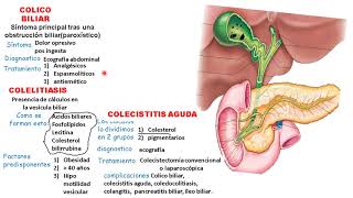 COLELITIASIS COLECISTITIS COLEDOCOLITIASIS COLANGITIS [upl. by Girvin204]