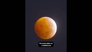 Lunar eclipse Understanding Lunar Eclipses the Phenomenon of the Blood Moon space lunareclipse [upl. by Olivann352]