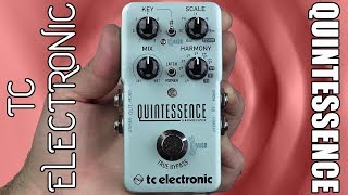 TC Electronic Quintessence Harmony Demo amp Review  Stompbox Saturday [upl. by Biddick]