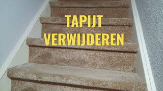 TAPIJT VERWIJDEREN [upl. by Demitria]