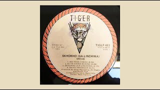 Stevo  Skhokho Ga Linchiwa 1993 Full Album [upl. by Wolfie]