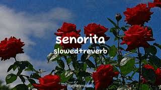 Senorita ★ slowedreverb [upl. by Kaenel]