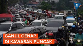 Ganjil Genap di Jalur Puncak Bogor Mulai Berlaku [upl. by Corsiglia]