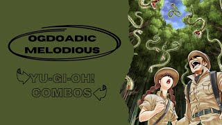 YuGiOh Evol Ogdoadic Melodious 2024 Post Legacy of Destruction Good Stuff Reptile Deck Profile [upl. by Ahsar688]