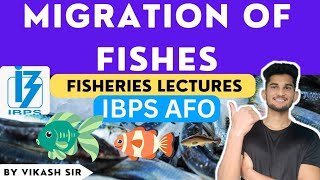 Migration of fishes  FISHERIES FOR IBPS AFO  Fisheries lectures [upl. by Aikrehs442]