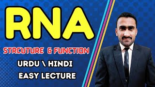 Introduction to RNA  RNA Structure Functions  A Type of Nucleic Acid  Shahzad Rasool Lecture [upl. by Danila698]