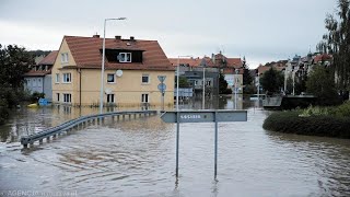 Reakcje sieci handlowych na zarzuty Tuska o drożyznę po powodzi co mówią [upl. by Analli]