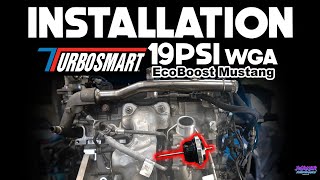 How to install a 19PSI Turbosmart Wastegate  20152023 EcoBoost Mustang [upl. by Ellehciram]