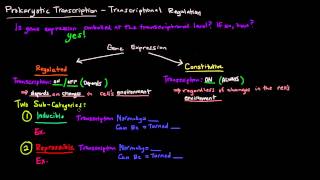 Prokaryotic Transcription Part 1 of 5  Transcriptional Regulation [upl. by Noirrad492]