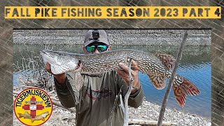 FALL PIKE FISHING SEASON 2023 PART 4 [upl. by Yevol]