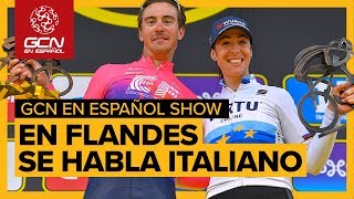 Ronde Van Vlaanderen  GCN en Español Show 38 [upl. by Compte27]