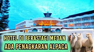 Ada Penangkaran Alpaca Di Hotel Ini Berastagi Medan Sumatera Utara [upl. by Argent834]