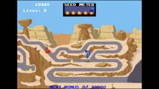 Road Runner  Arcade [upl. by Fairfax]