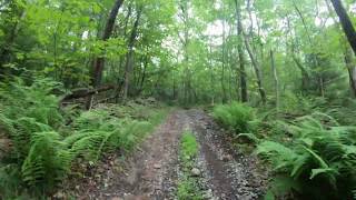 ATV riding Bald Eagle State Park [upl. by Uhsoj433]