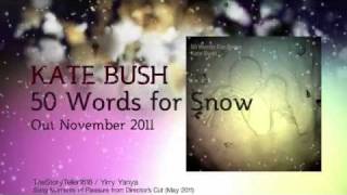 Kate Bush 50 Words for Snow  Teaser  Brand new Album  9 [upl. by Leonelle478]