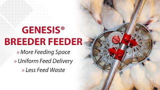 ChoreTimes GENESIS® Breeder Feeder [upl. by Ylahtan]