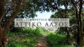 Top Places in Athens Greece Attican Grove Galatsi  Αττικό Άλσος Γαλατσίου [upl. by Campy]