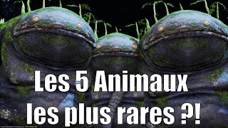 Attraper les animaux rares de lÎle Sanctuaire de FFXIV  Félicité Insulaire [upl. by Lopez696]