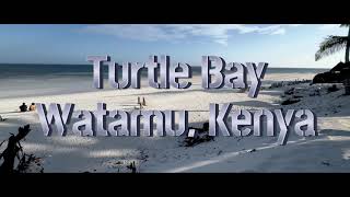 Turtle Bay Beach Watamu Kenya [upl. by Parhe891]