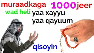 1000 jeer ya xayu ya qayum muraadki ad u akhrisato wad heli qisoyin [upl. by Azirb]