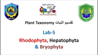 Section 5 Plant Taxonomy  Rhodophyta Hepatophyta amp Bryophyta [upl. by Sonnnie]