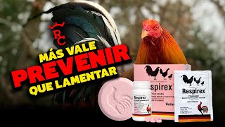 El mejor preventivo para enfermedades respiratorias RESPIREX [upl. by Secunda]