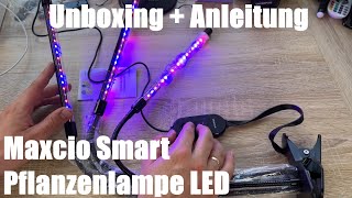 Maxcio Smart Pflanzenlampe LED Pflanzenlicht 12W Vollspektrum LED Grow Licht Unboxing amp Anleitung [upl. by Siroled769]