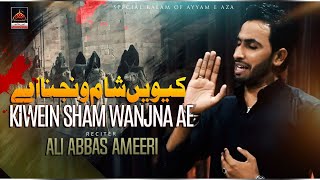 Kiwein Sham Wanjna Ae  Ali Abbas Ameeri  2023  Noha Bibi Zainab Sa [upl. by Noyek]