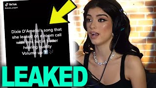 Dixie Damelio Fan Leaks Unreleased Song  Hollywire [upl. by Leziar]