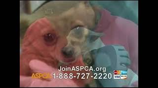 ASPCA TV Spot Beautiful Song by Joe Cocker with Kim Rhodes Commercial 2012 [upl. by Cristiano77]