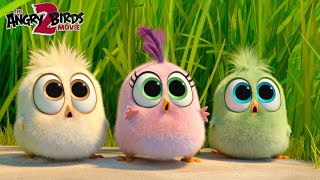 The Angry Birds Movie 2  Behind the Hatchlings adventures [upl. by Tavish]